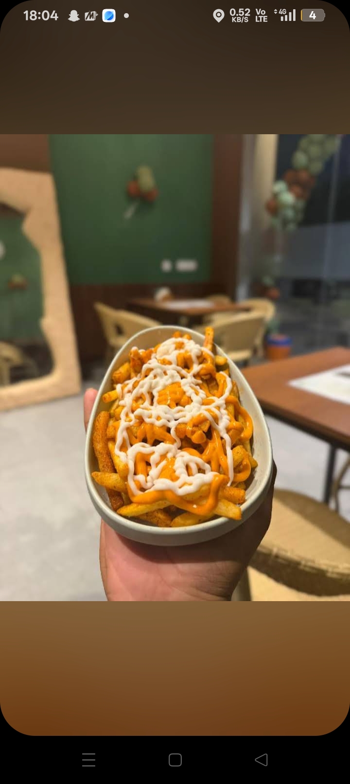 Loaded cheese fries